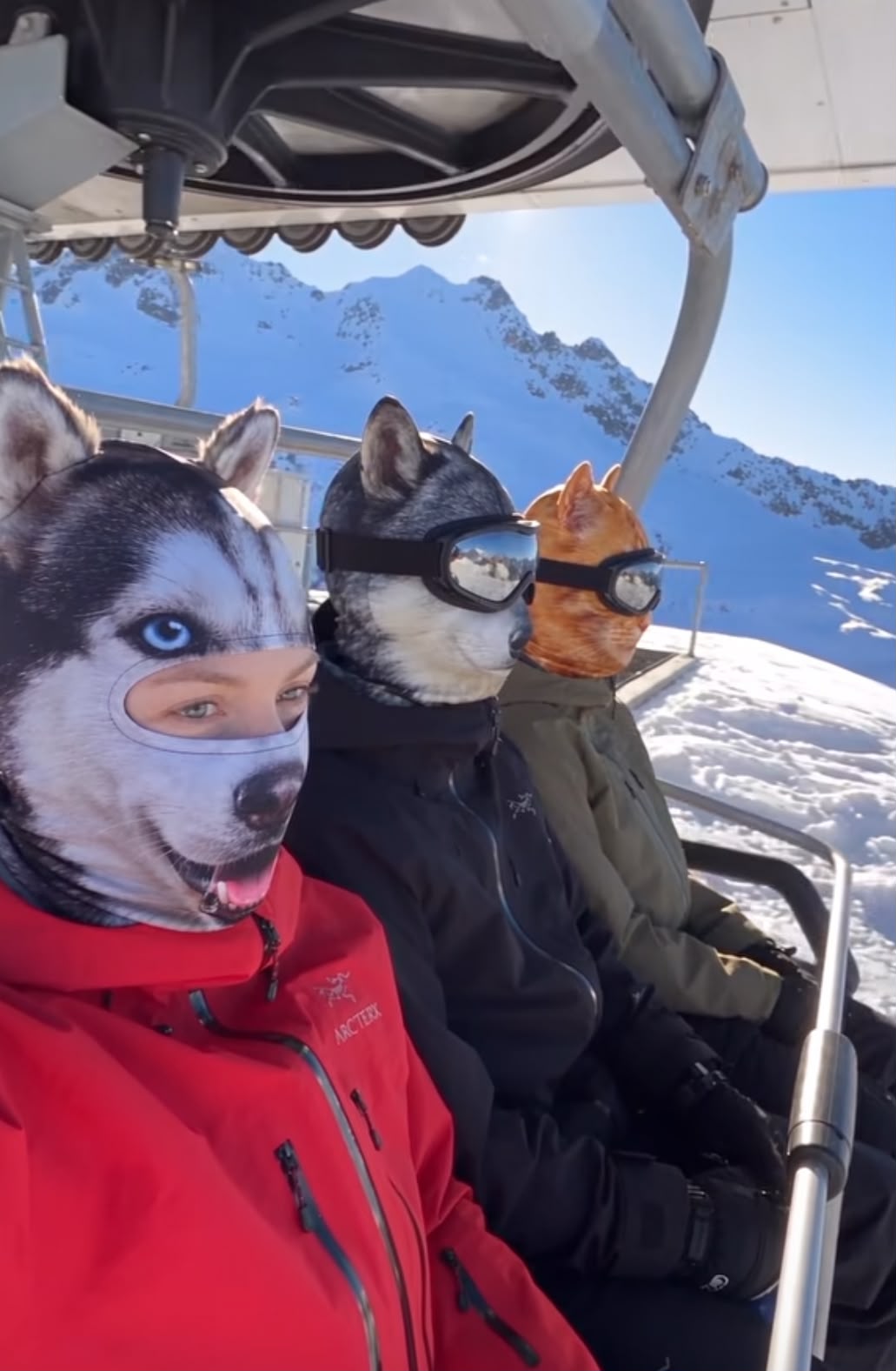 Vintervild™ – 3D Skidmask med Djuransikte